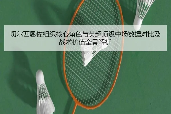 切尔西恩佐组织核心角色与英超顶级中场数据对比及战术价值全景解析