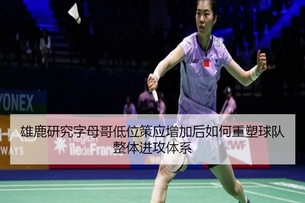 雄鹿研究字母哥低位策应增加后如何重塑球队整体进攻体系